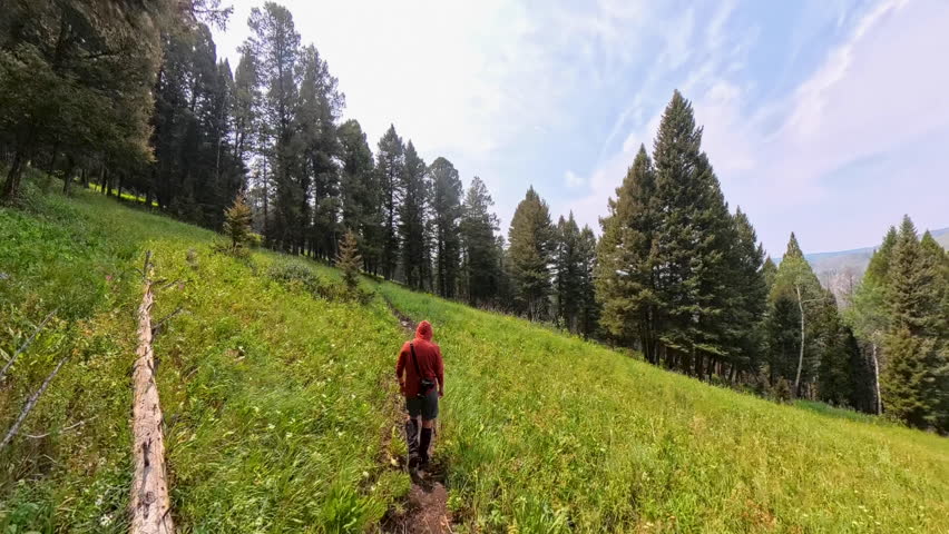 Following Hiker Across Yellowstone Countryside in Summer