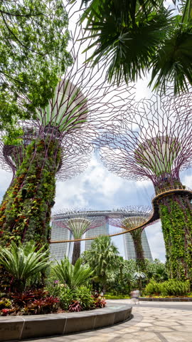 timelapse of the gardens by the bay in singapore in vertical during the day 