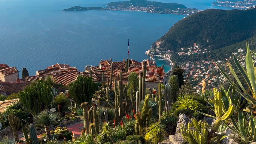 Exotic garden Jardin Exotique d'Eze in the village of Eze Provence, Alps, Cote d'Azur France February 27, 2025. High quality 4k footage
