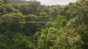 A devoted father and his adventurous son explore shopping and enjoy breathtaking views of Costa Ricas suspension bridges, creating cherished family memories that will last a lifetime - Powered by Shutterstock - Get 15% off with code: PIKWIZARD15