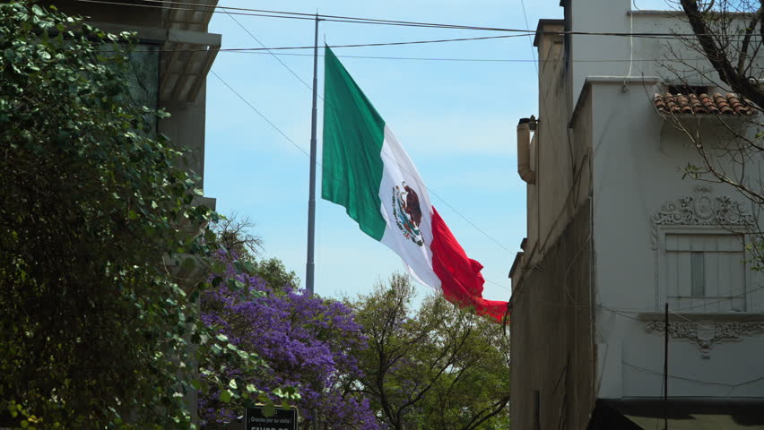 Flag Of Mexico - Mexican Flag Waving With The Wind In The City. - static shot