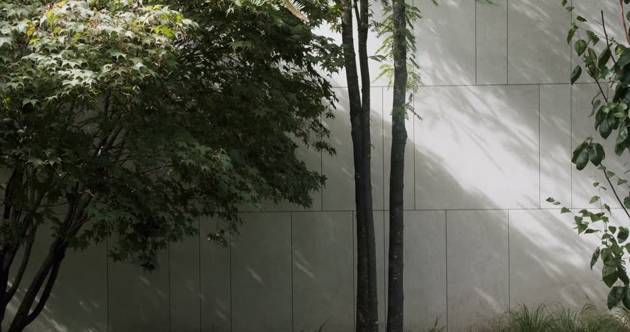 A tranquil scene of green foliage and trees contrasting with a gray concrete wall, symbolizing urban nature integration. Lush Green Foliage Against Modern Gray Concrete Wall