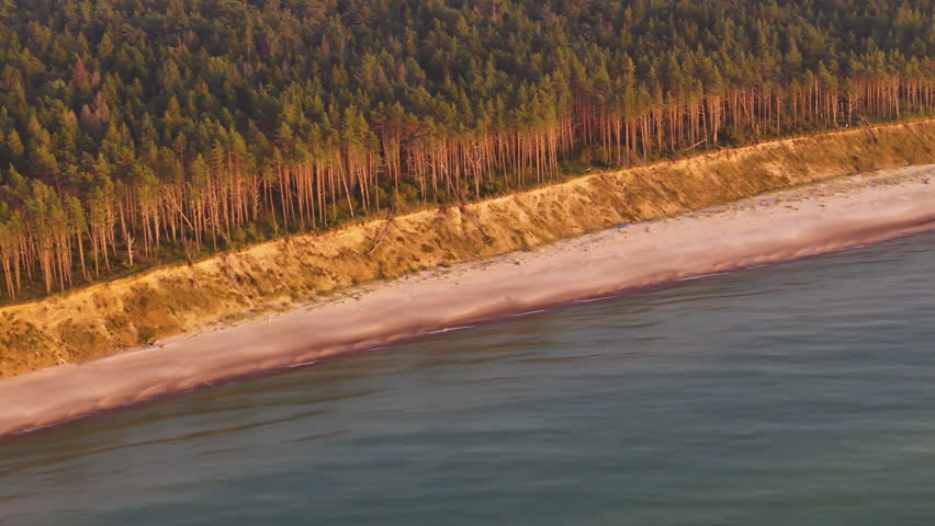High drone view of sea bluff and dense forest canopy at golden hour in Jurkalne