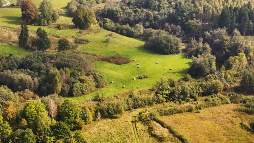 Drone view of farmland area recently cleared, exposing light brown soil and forest