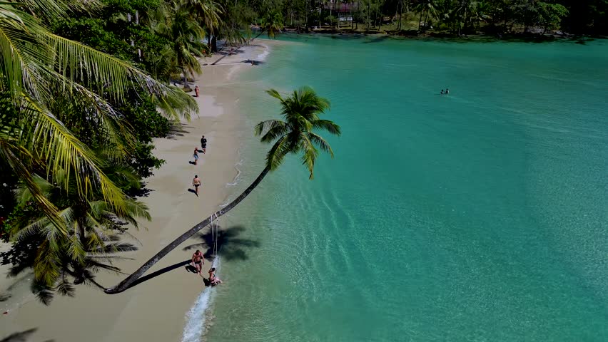 Surrounded by lush palm trees, a tranquil beach in Koh Kood Thailand offers a perfect escape with its soft white sand and turquoise waters. People enjoy leisure activities under the sun.