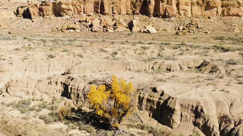 Eroded sandstone cliffs with sparse desert vegetation under bright daylight at Chaco Canyon, New Mexico.