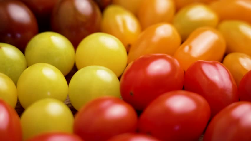 Cherry tomatoes of different varieties. Red, yellow and orange with dark kumato. Rotation