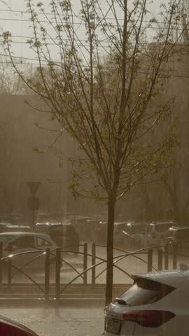 Vertical Screen: Intense hailstorm pelting parked vehicles near urban trees and buildings, showcasing powerful meteorological phenomenon during severe weather conditions