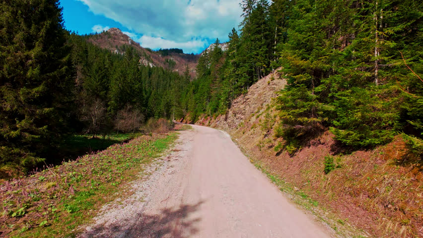 Vertical video FPV drone aerial view soaring above winding dirt road through dense spruce and pine forest in scenic mountain valley, revealing dramatic cliffs, vast terrain, and a stunning sky horizon