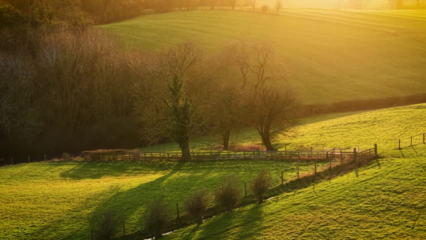 Golden sunlight covering rolling fields, wooden fences, and scattered trees. Endless countryside and flourishing farmlands in England at sundown. Warm evening glow stretching over lush pastures