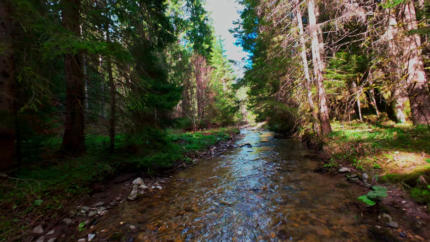 Vertical Low aerial drone shot gliding through a magical forest, over a clear freshwater creek with moss-covered green stones, lush foliage, and rushing water