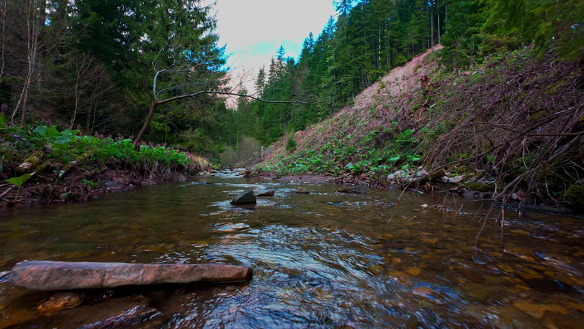Low aerial drone shot gliding through a magical forest, over a clear freshwater creek with moss-covered green stones, lush foliage, and rushing water
