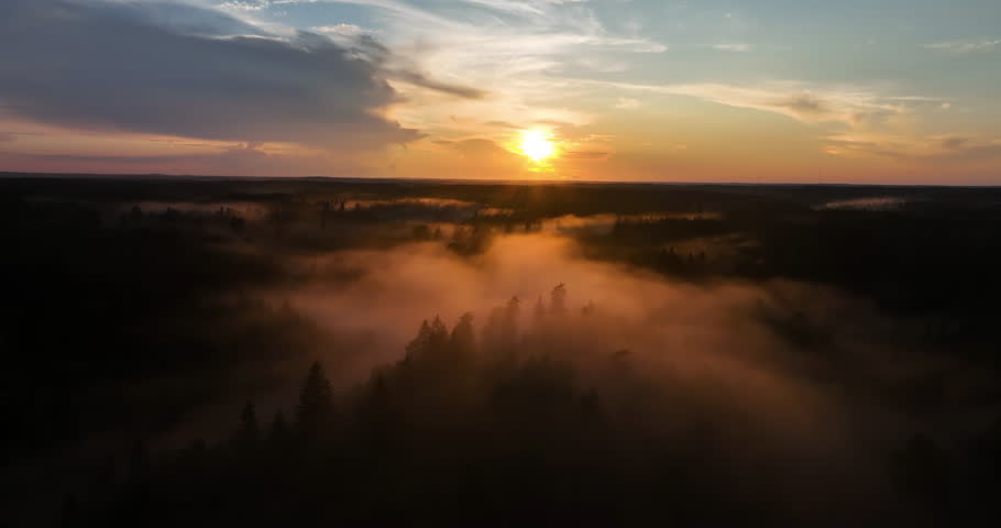 Aerial view ascending in front of gloomy woodlands, on a dramatic, misty evening