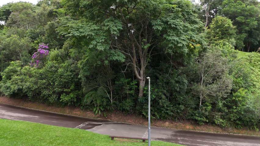 Curitiba, Paraná, Brazil - April 20 2025: Aerial drone footage over Parque São Lourenço and Belém River on a cloudy day, showing dense trees, green landscape, and urban nature scenery