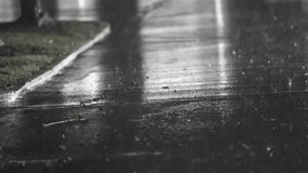 Slow Motion Raindrops Falling on Wet Pavement, Reflecting Lights - Powered by Shutterstock - Get 15% off with code: PIKWIZARD15