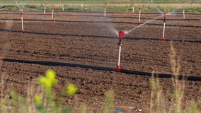 Automatic Sprinkler irrigation system watering in the vegetable farm. Selective focus and motion blur - Powered by Shutterstock - Get 15% off with code: PIKWIZARD15
