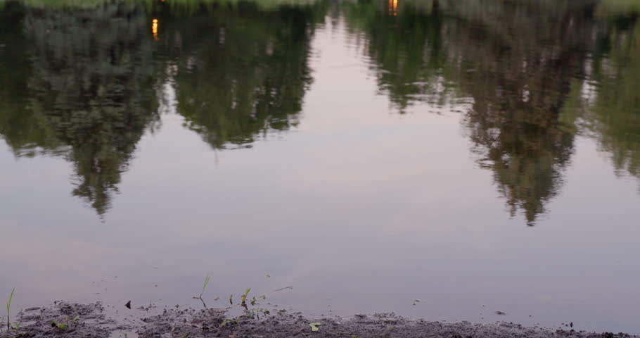 Nature Reflection Over Serene Lake At Sunset. Static Shot