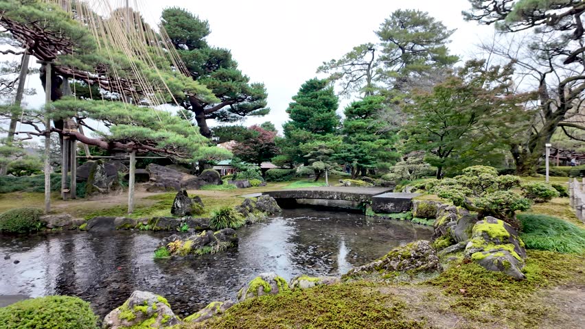 Traditional Japanese garden featuring yukitsuri, a winter protection technique for pine trees, a stone bridge, and a pond, creating a tranquil atmosphere