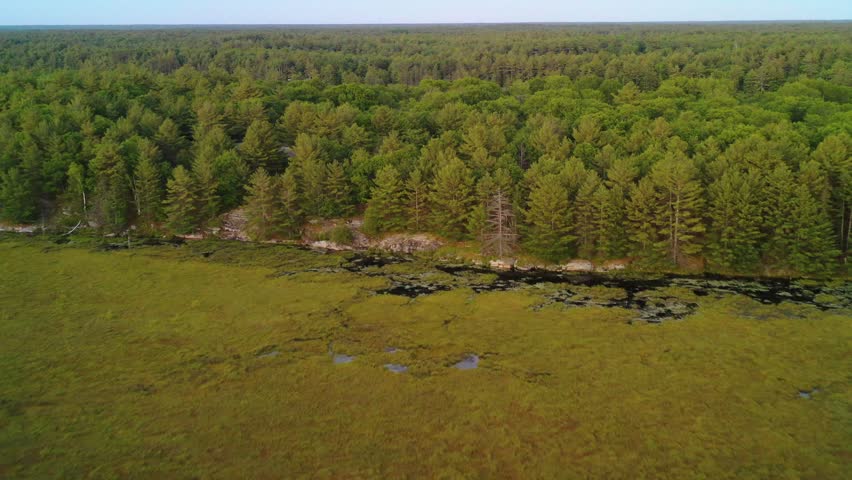 Flying over a marsh, forests, a calm reflective lake and a cottage in the summer during the sunset.