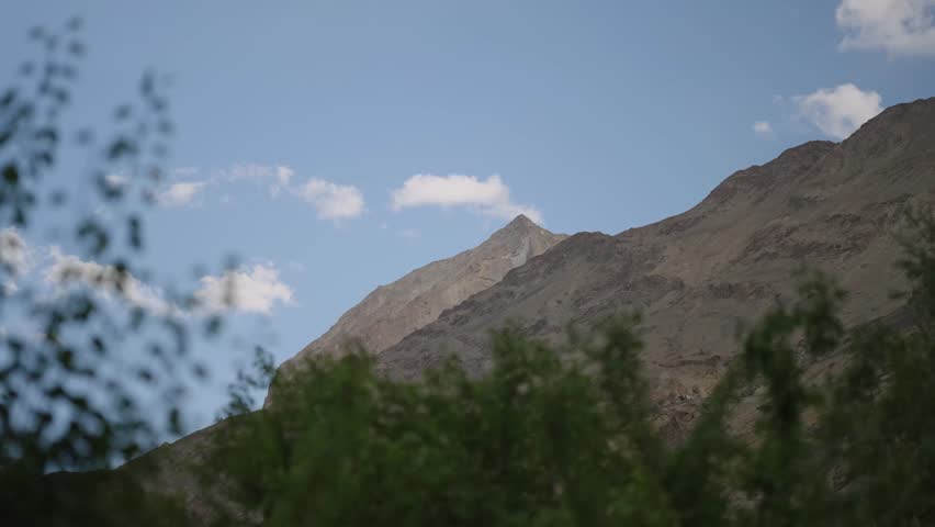 4K footage showcasing Ladakh’s barren mountains with a vibrant green plant adding contrast in the foreground.