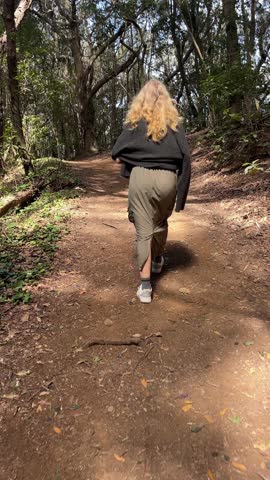 A solitary individual walks through a scenic forest trail, savoring natures beauty and tranquility. Exploring Nature A Stunningly Beautiful Hike Through the Lush Green Woods and Trails