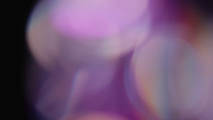 Shutterstock Video