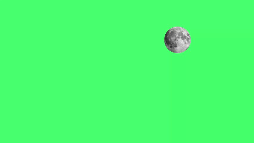 Shutterstock Video