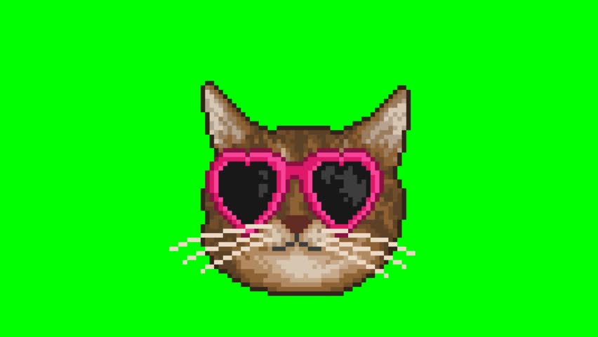 Cat with heart-shaped glasses, pixel art meme