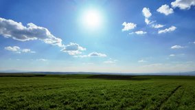 Shot with a moving camera in the green image of the field. Vertical movement, clouds and sun. - Powered by Shutterstock - Get 15% off with code: PIKWIZARD15