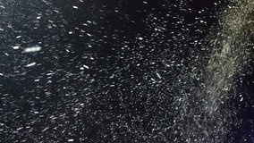 Bokeh effect of snowfall and lights. Abstract blurred background with snowflake in the night sky, White spots and dots in the dark.  - Powered by Shutterstock - Get 15% off with code: PIKWIZARD15