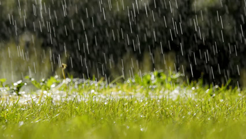 Falling Drops from Sprinkler Watering the garden on the bright green grass lawn. Slow motion footage