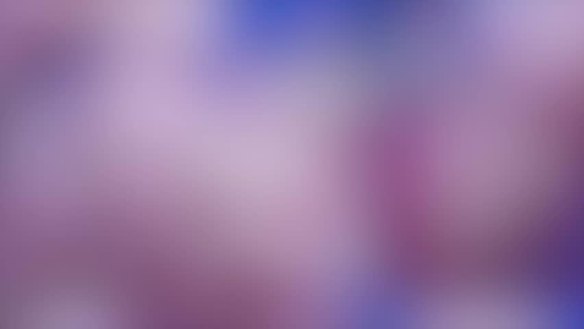 Shutterstock Video