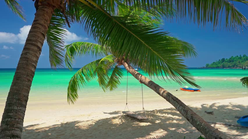 Thailand 4k beach background. Paradise nature on sunny summer day landscape. Indian ocean seascape with palm tree, empty turquoise sea wave, and blue sky stock loop video. Without people, copy space.