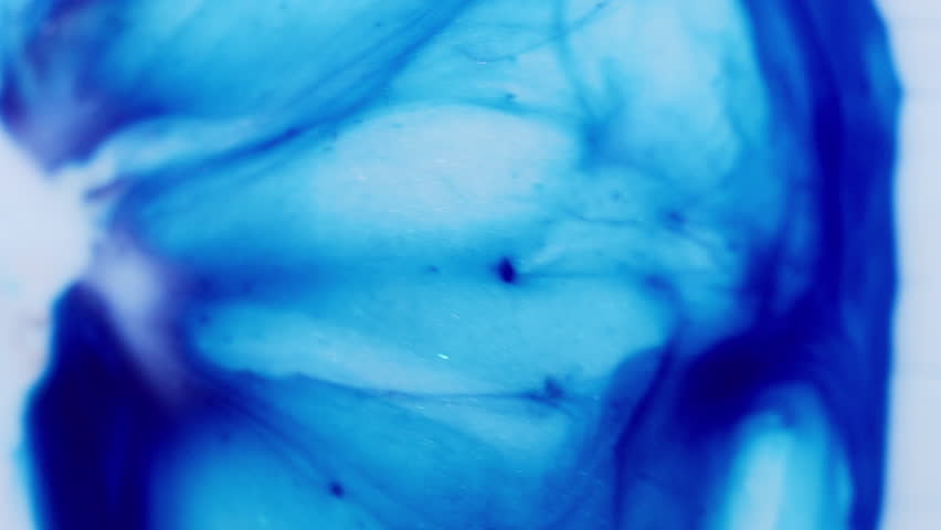 Multicolored marble. Blue fluid. Dissolution contrasting sparkling dye on light opaque enamel. Intricate blur waves blend ink on acrylic surface.