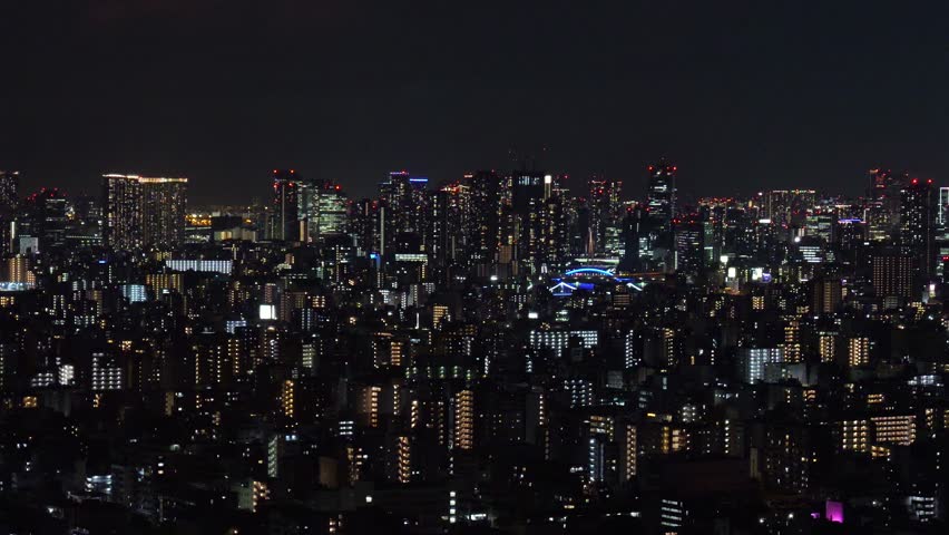 Tokyo Observation view night time 2025