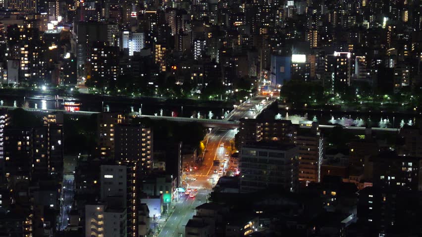 Tokyo Observation view night time 2025