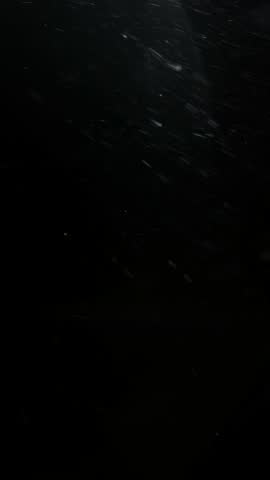 Realistic Snow Falling Animation on a Dark Background. Blurry Snow. 4K