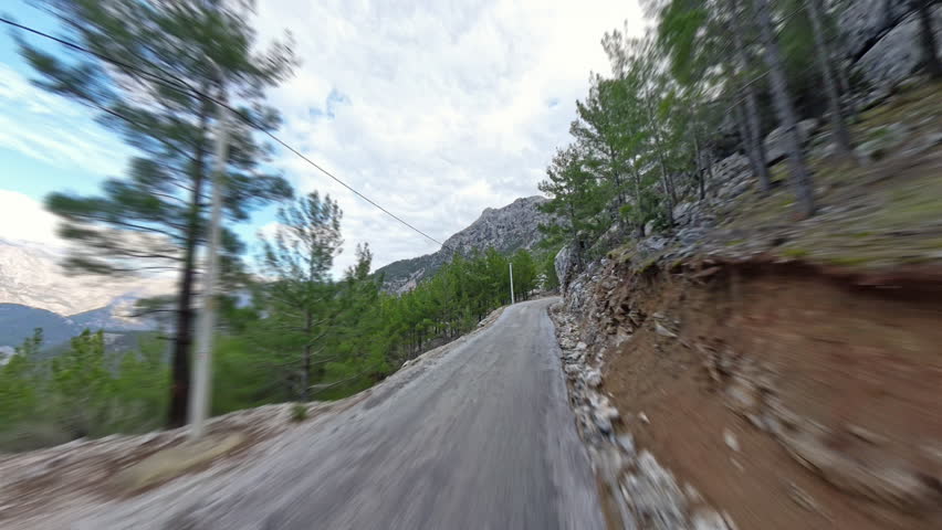 Narrow dirt road weaving through a dense pine forest with rocky outcrops and a cloudy sky, heading toward distant mountains. Forest Trail Journey