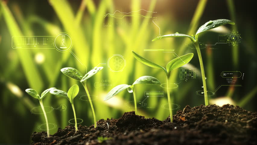 Seedlings growing from dark soil with futuristic biotechnology icons
