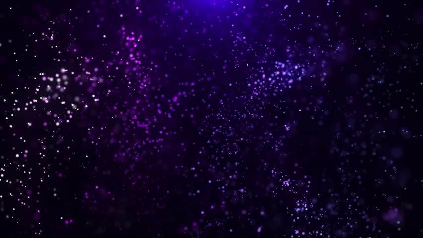 Shutterstock Video