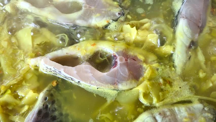 Cooking tilapia fish with bamboo shoot curry , in door Chiangmai Thailand.
