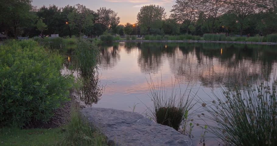 Tranquil Pond In The Public Park At Dusk. - static shot