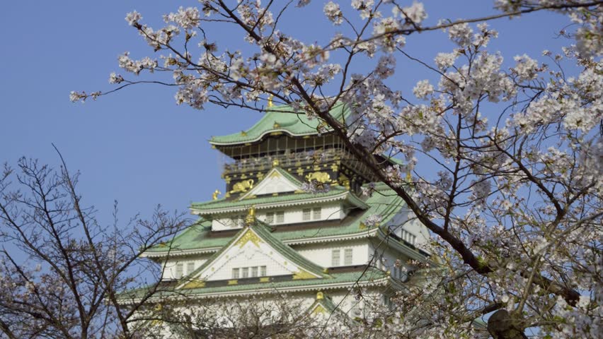 Incredible Osaka castle with Sakura cherry blossom tres