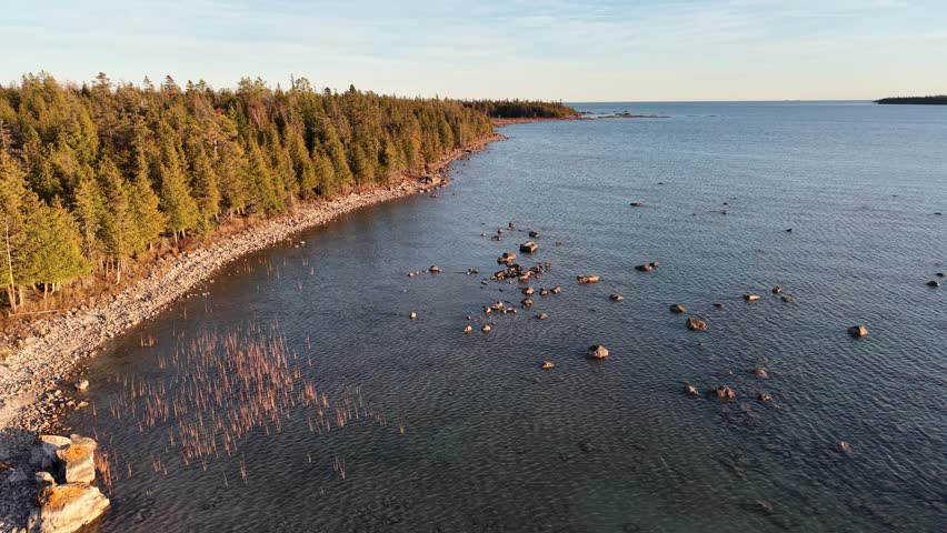 Golden hour aerial of rocky shoreline meeting calm lake waters lined with dense pine forest