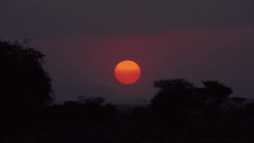 Red Sun Setting Behind Acacia Trees in Kenya - Powered by Shutterstock - Get 15% off with code: PIKWIZARD15