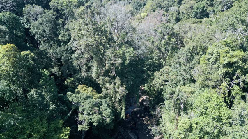 Aerial view of Angkor Wat, Cambodia Jungle with a majestic ancient temple