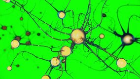 Glowing Neural Network Connections, Abstract Brain Cell Visualization on Green Screen - Powered by Shutterstock - Get 15% off with code: PIKWIZARD15