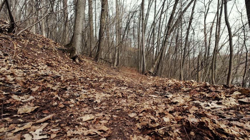 Experience the serene beauty of nature with captivating footage of an autumn hike, blending adventure with peaceful tranquility that invites you to explore the breathtaking wonders around you