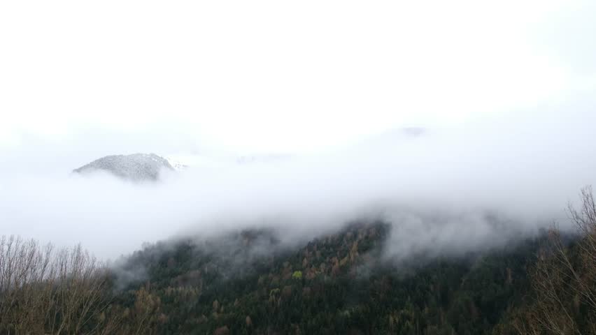 Misty fog enveloping verdant evergreen forest, cascading across mountainside, revealing ethereal landscape shrouded in tranquil wilderness atmosphere