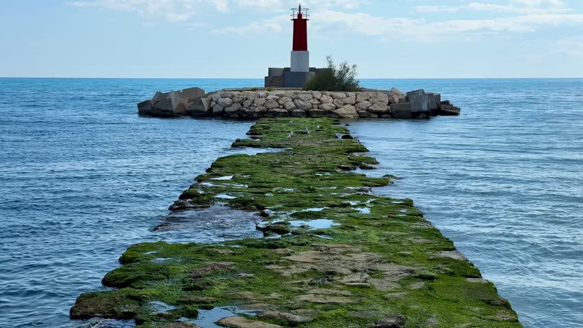 A stunning lighthouse stands atop a rugged jetty, surrounded by calm blue waters and vibrant greenery